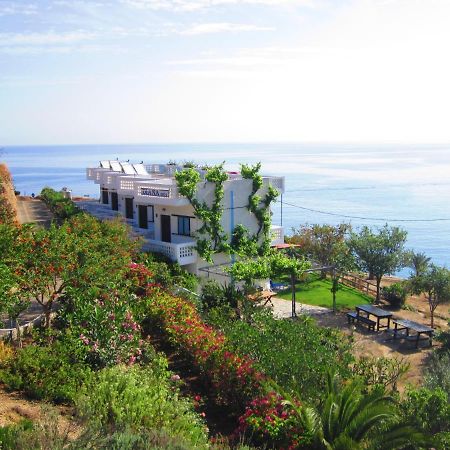 Diana Apartments Αγία Πελαγία  Εξωτερικό φωτογραφία